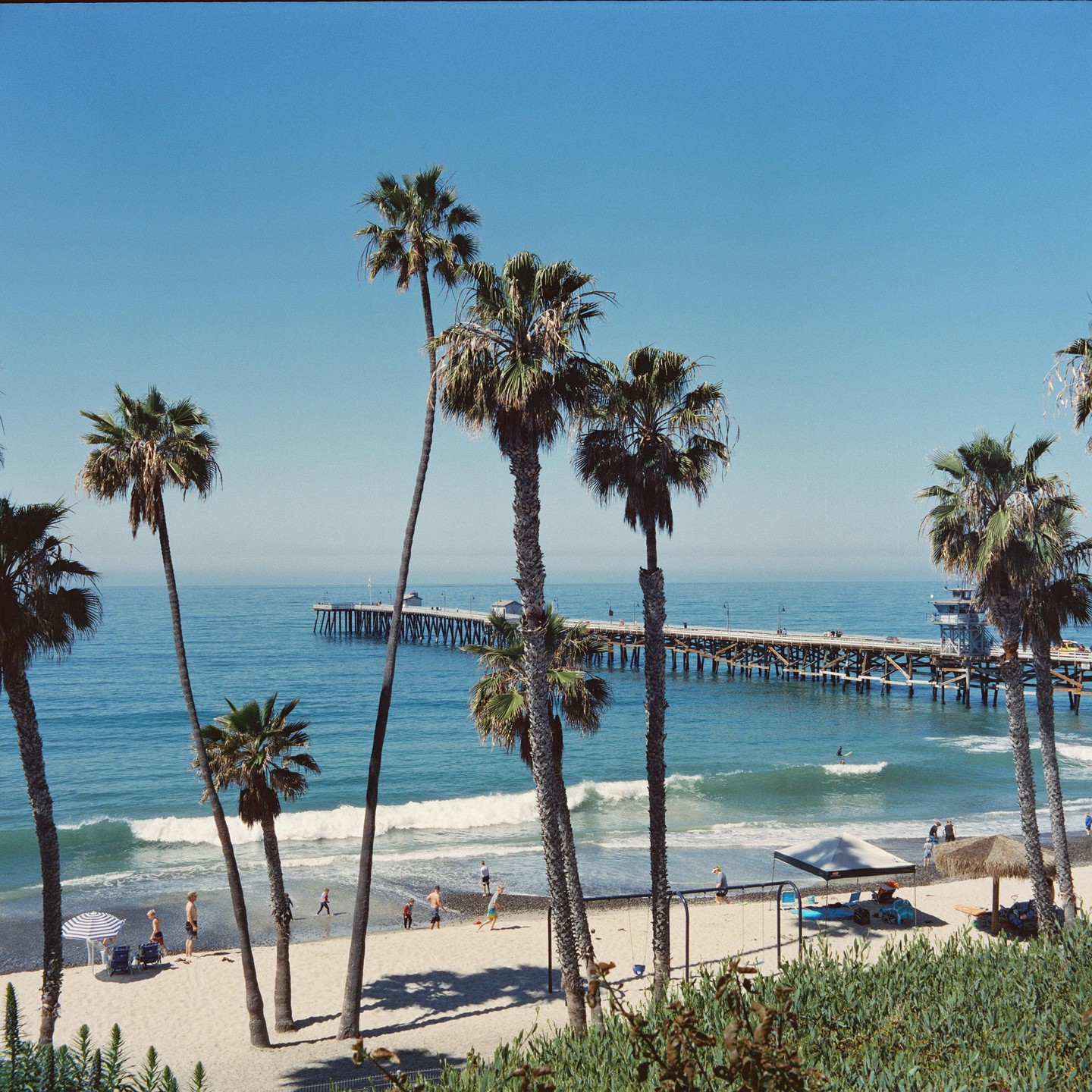 Palm trees frame a beach with people, a pier, and the ocean under a clear sky.