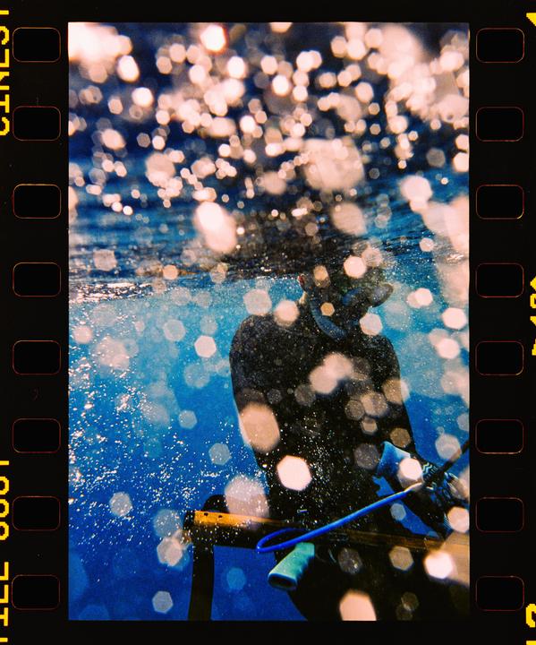 A person in a wetsuit and snorkel holds a speargun underwater, surrounded by bright bokeh.