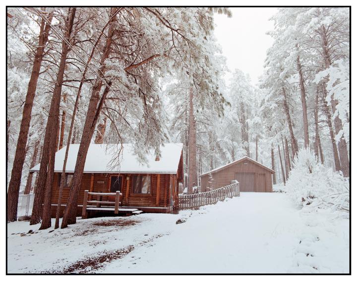 A wooden cabin and a garage are nestled among snow-covered pine trees.