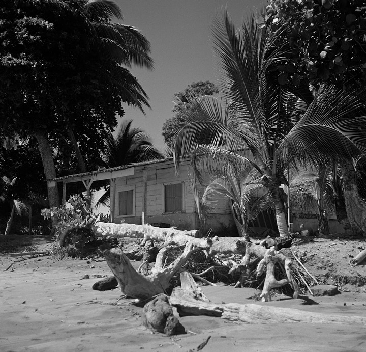 A wooden shack with a porch is visible behind driftwood and palm trees on a sandy beach.
