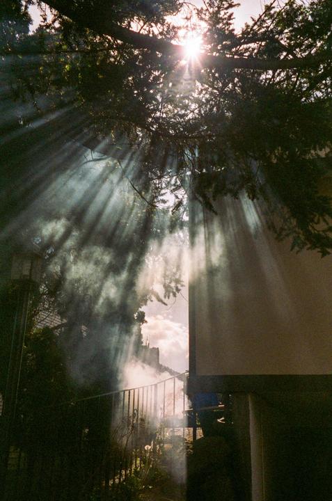 Sunlight streams through the branches of a tree, illuminating smoke and a distant castle.