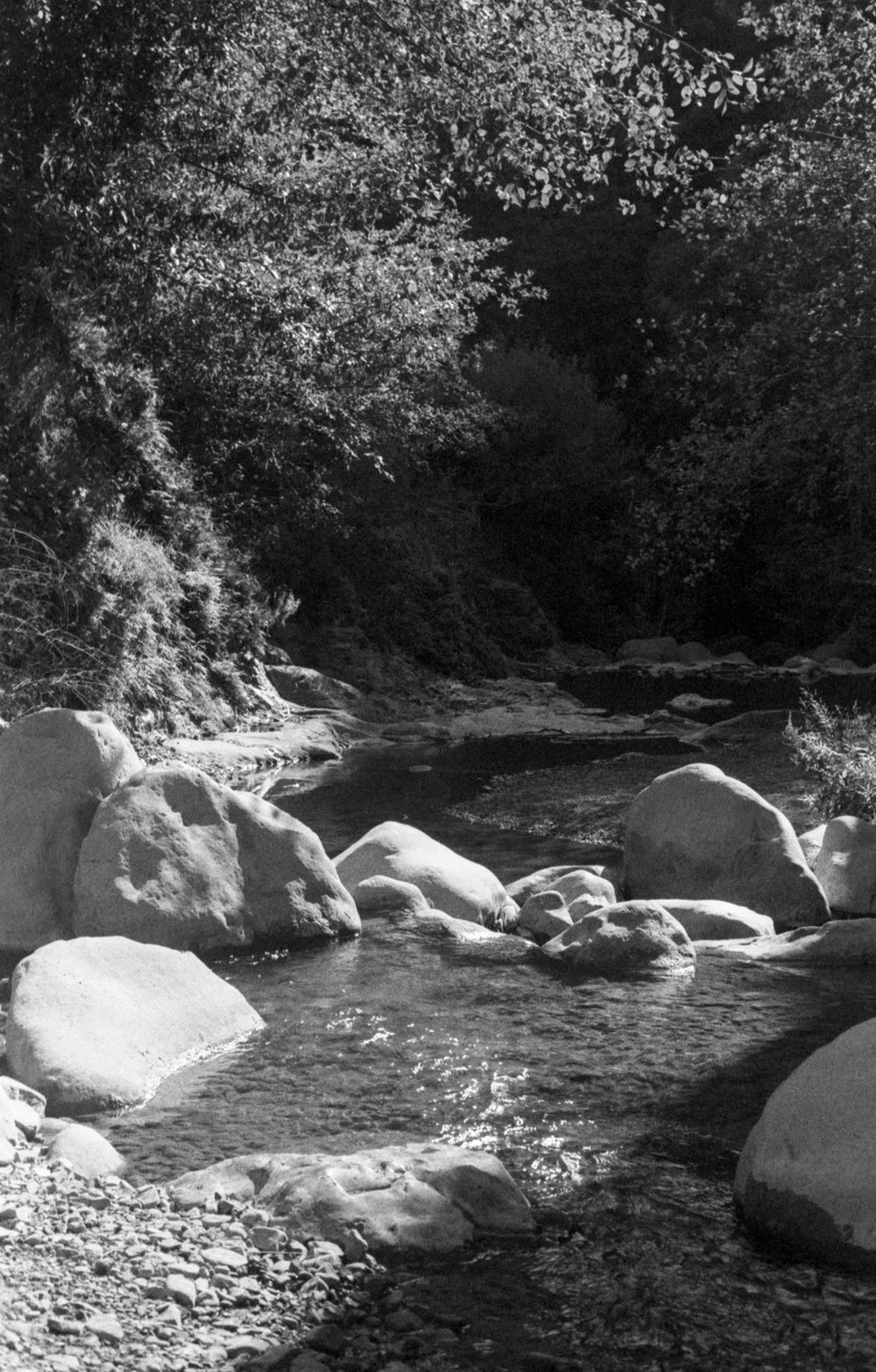 A rocky stream flows through a forest with dappled sunlight on the water.