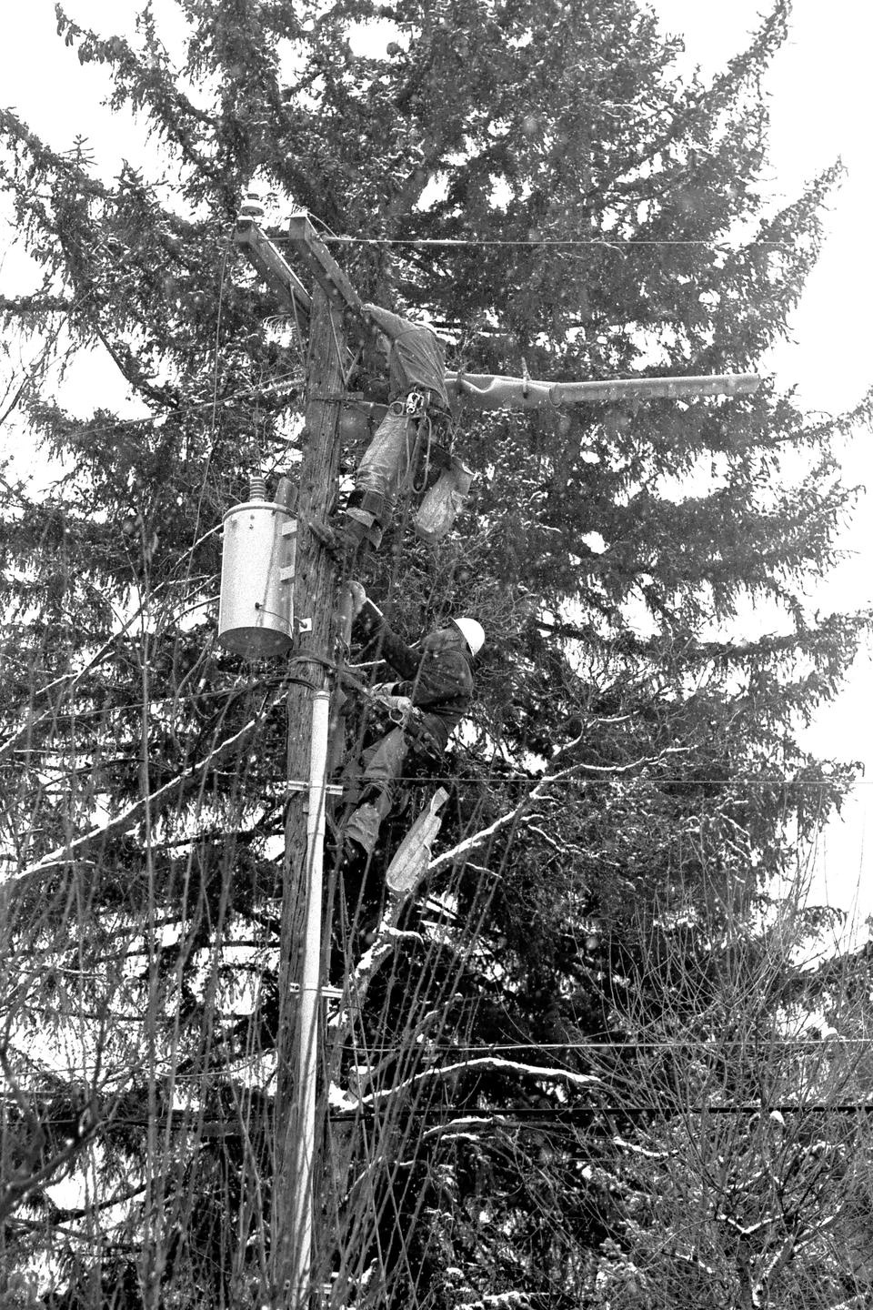 Two men are working on a utility pole in a snowy forest.