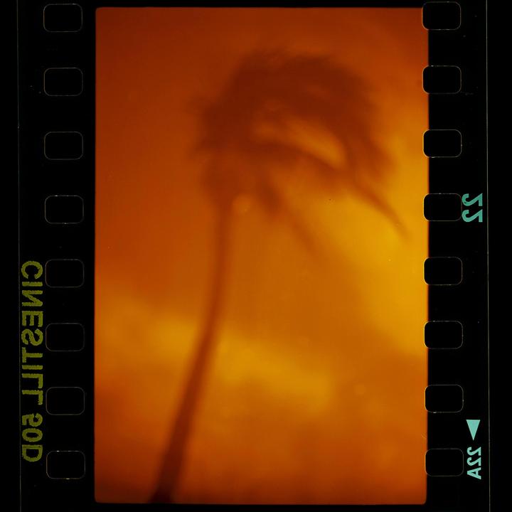A blurry, orange-toned image shows the silhouette of a palm tree.