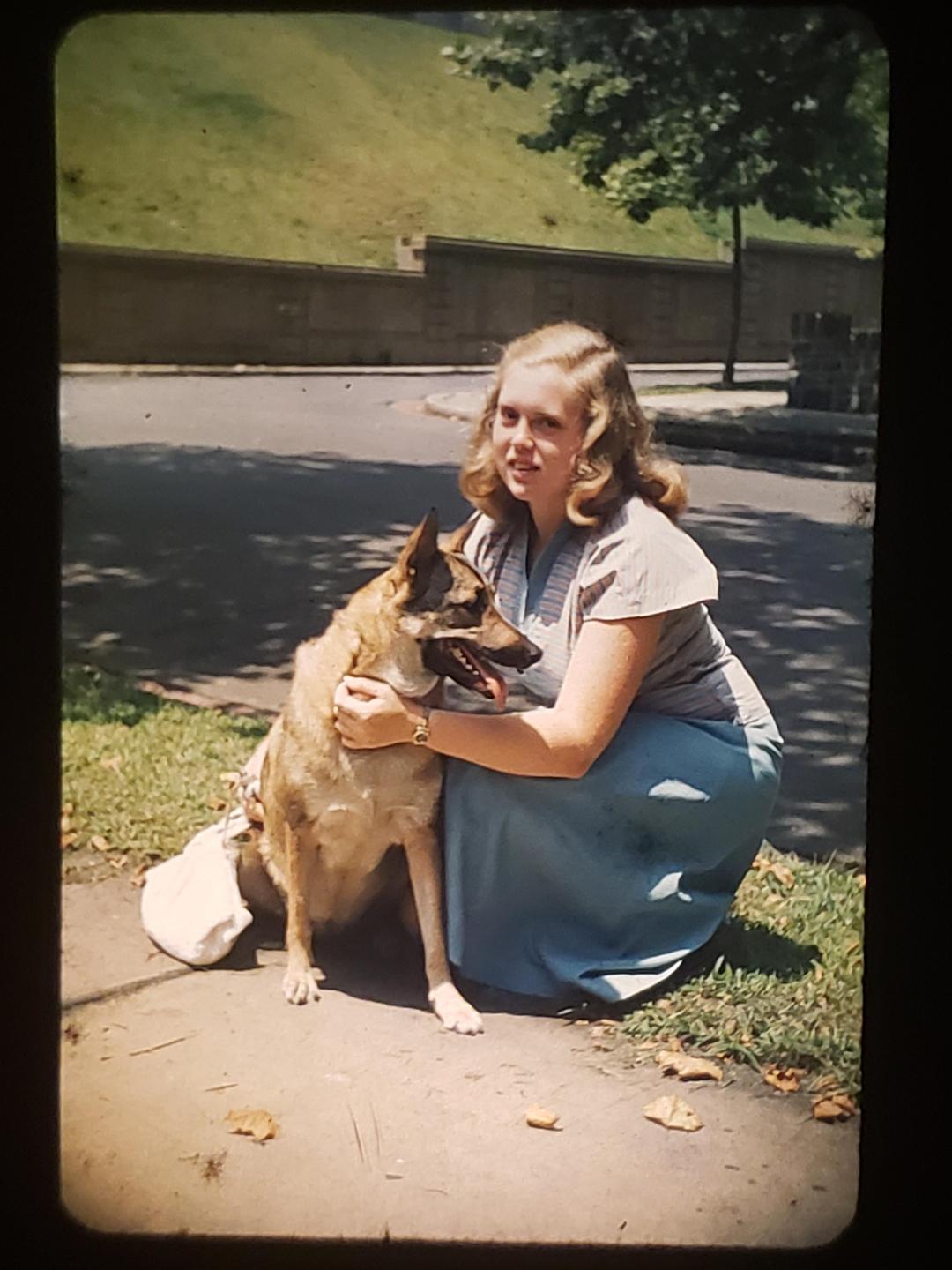 A woman kneels on a sidewalk next to a german shepherd.