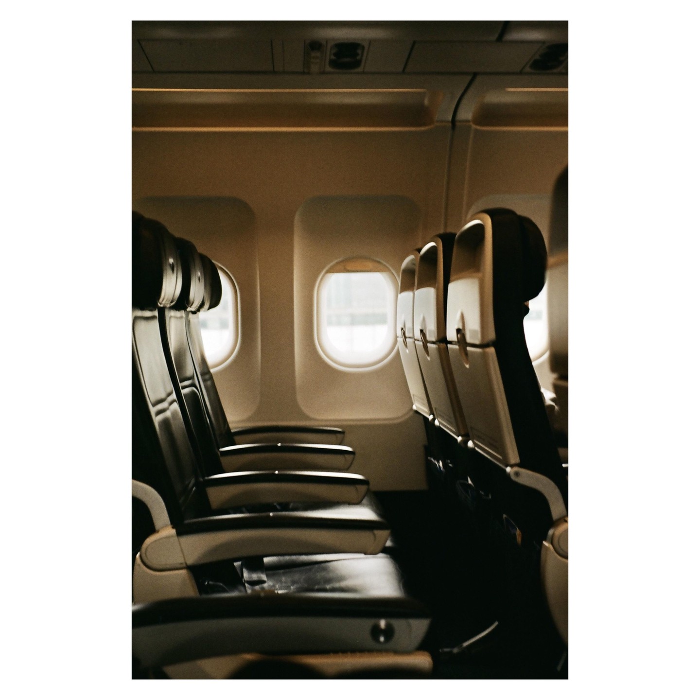 The interior of an airplane cabin shows rows of empty seats and windows.