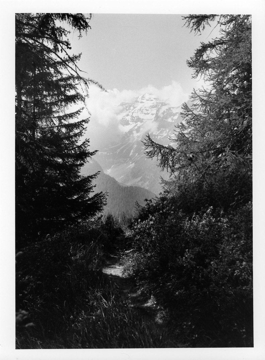 A narrow path leads through a forest towards a snow-capped mountain peak partially obscured by clouds.