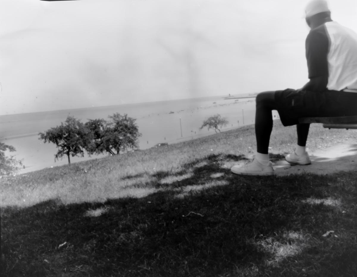 A man sits on a bench overlooking a beach with trees and grass in the foreground.