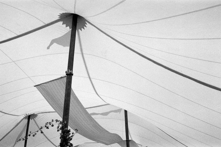 A black and white photograph shows a large white tent with wooden poles and some foliage.