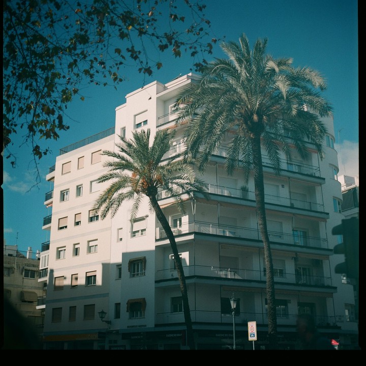 Two palm trees stand in front of a white building with balconies under a blue sky.