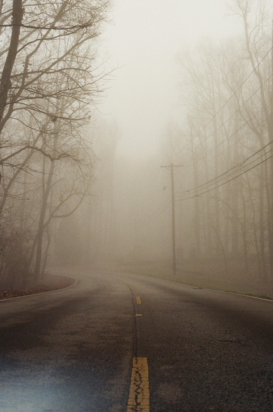 A winding road with a yellow dividing line disappears into a thick fog, flanked by bare trees and a utility pole.