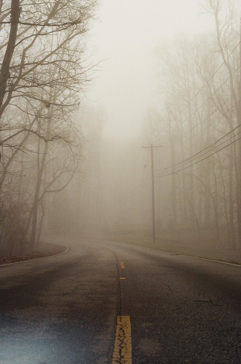 A winding road with a yellow dividing line disappears into a thick fog, flanked by bare trees and a utility pole.