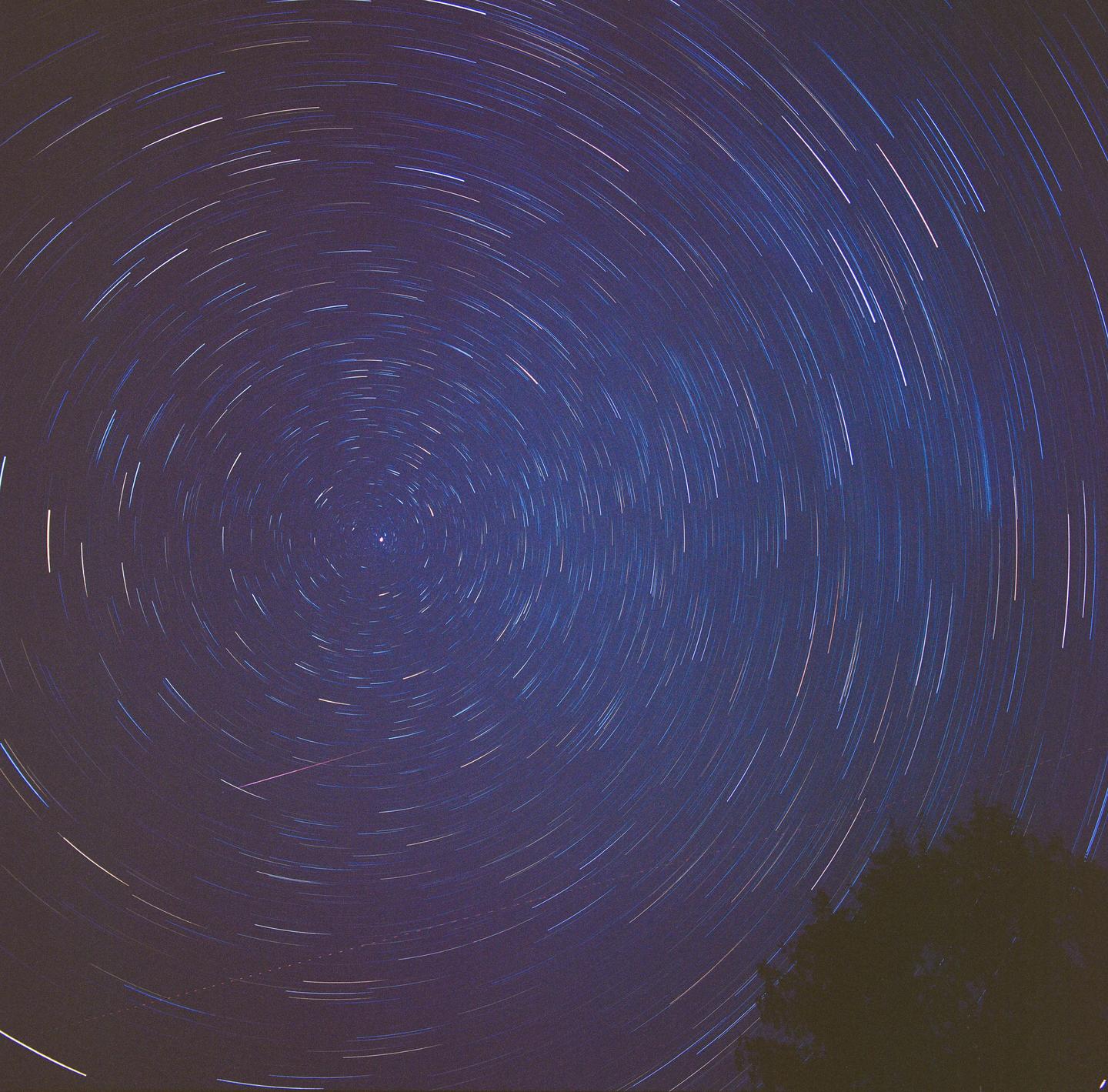 Star trails swirl around a central point in the night sky, with the silhouette of a tree visible in the bottom right corner.