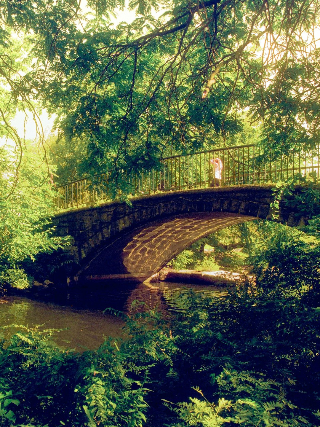A stone bridge with a metal railing crosses over a stream, surrounded by lush green foliage.
