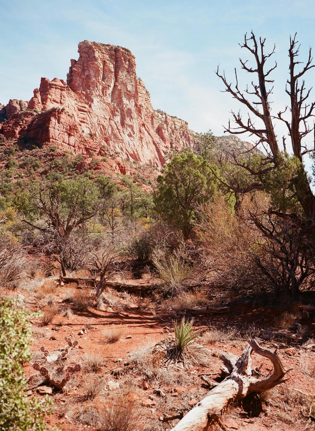 A red rock formation rises above a desert landscape with sparse vegetation and a fallen tree trunk.