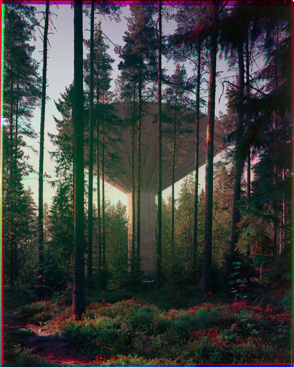 A water tower is visible through a dense forest of tall pine trees.