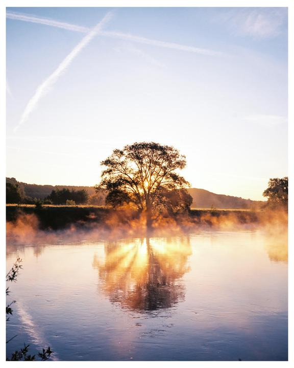 A tree is silhouetted against the rising sun over a misty river.