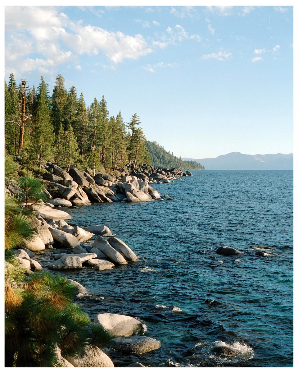 A rocky shoreline with pine trees meets a large body of water under a blue sky with clouds.
