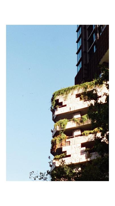 A tall building with balconies covered in green foliage stands against a clear blue sky.