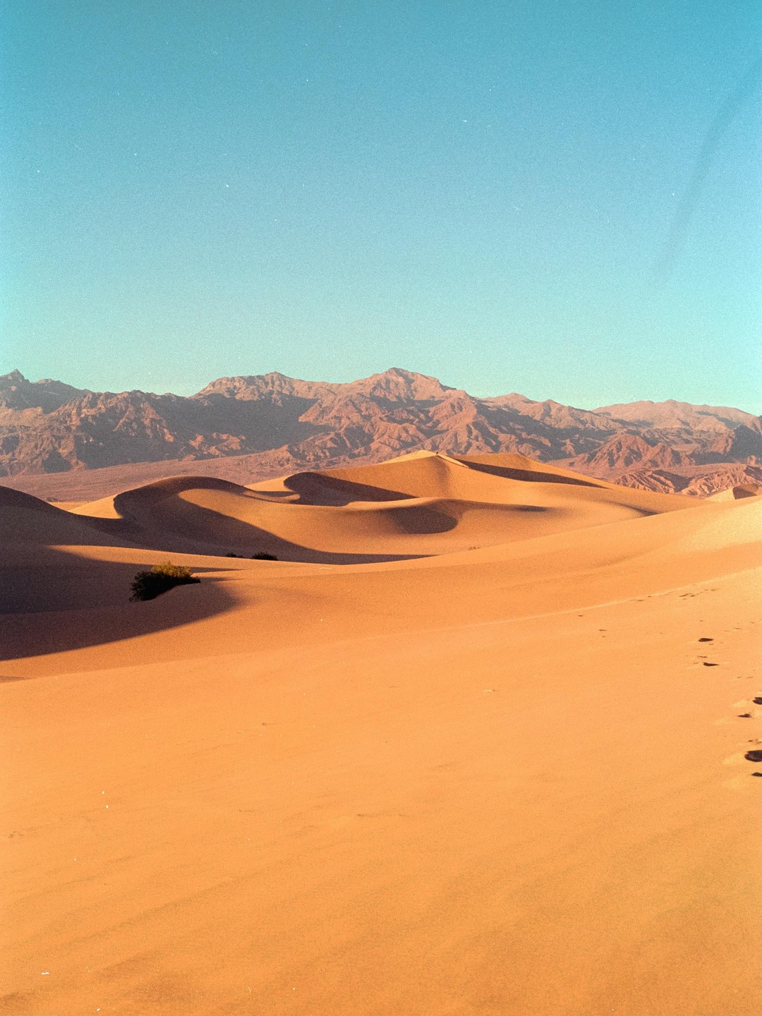 Sand dunes with shadows stretch towards mountains under a clear sky.