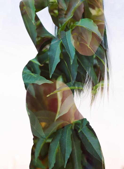 A double exposure shows a woman's body overlaid with green leaves.