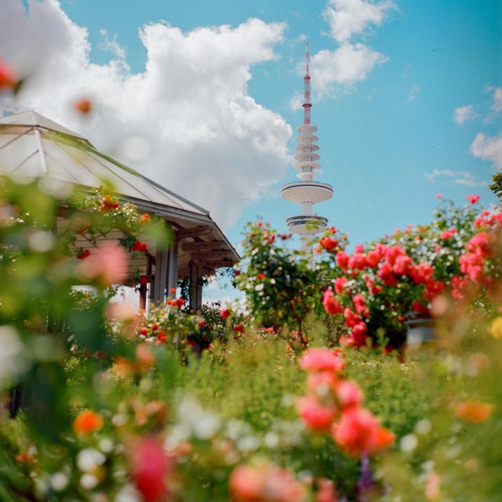 A tall white tower with a red antenna rises into a blue sky above a garden with a small building and many red flowers.