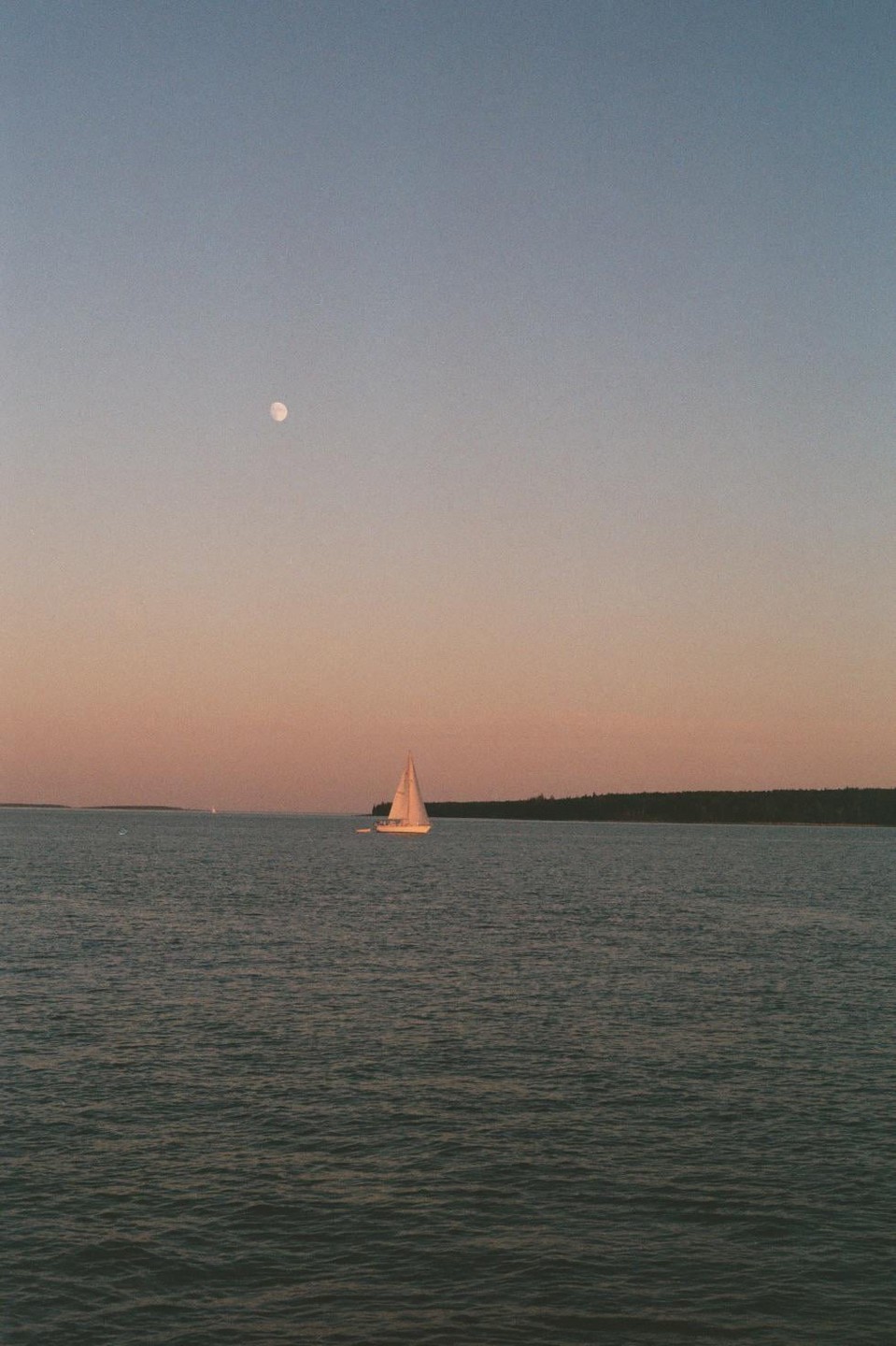 A sailboat is on the water with a moon in the sky and a treeline in the distance.