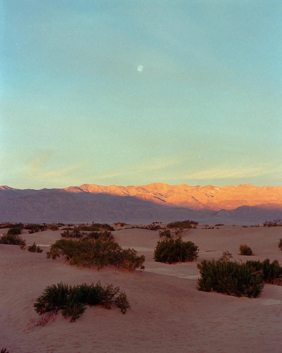 A desert landscape shows sand dunes with sparse vegetation and mountains in the background under a sky with a visible moon.