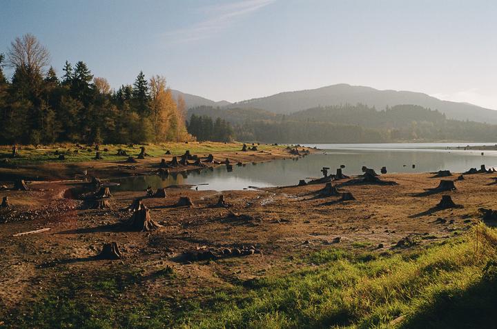 Many tree stumps are visible on the dry, muddy ground next to a body of water with mountains in the background.
