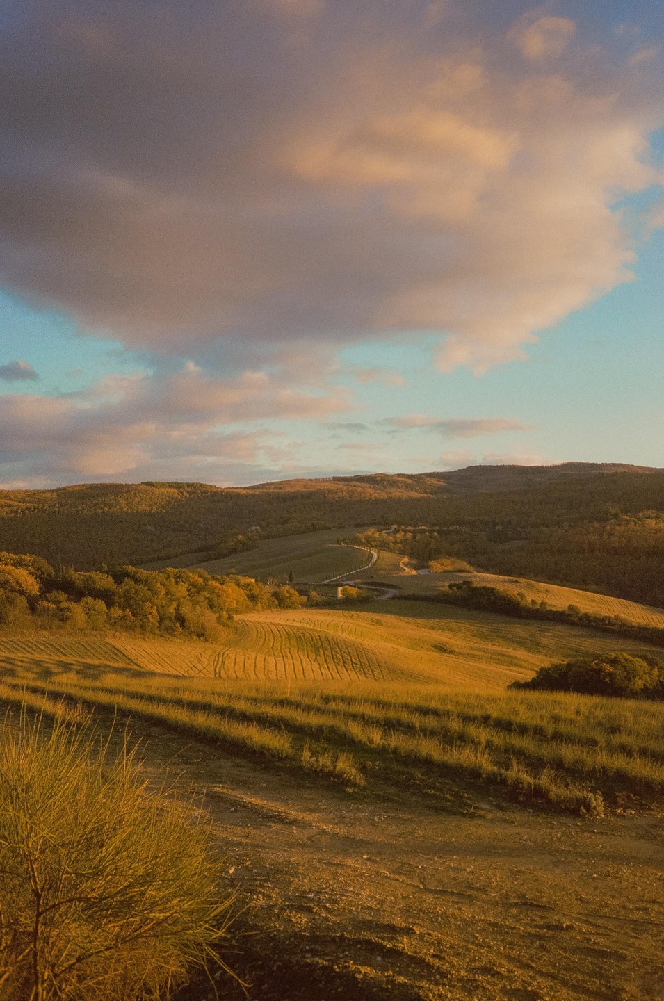 A winding road cuts through rolling hills and fields under a cloudy sky at sunset.