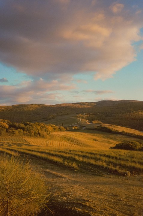 A winding road cuts through rolling hills and fields under a cloudy sky at sunset.