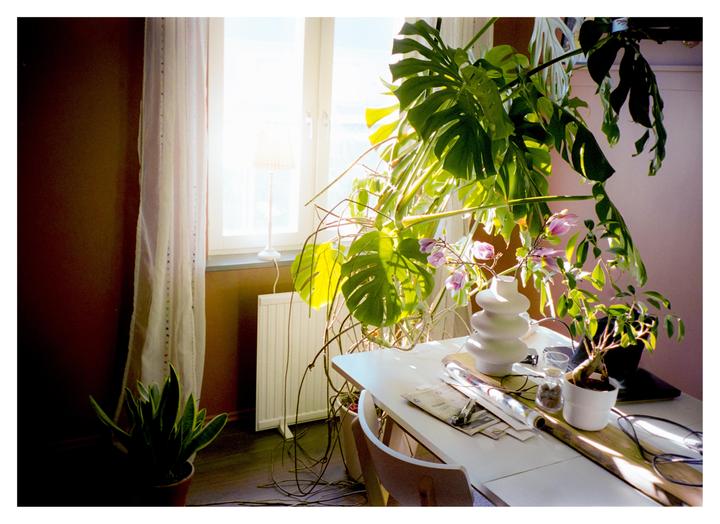 Sunlight streams through a window, illuminating a monstera plant and a white table with various objects.