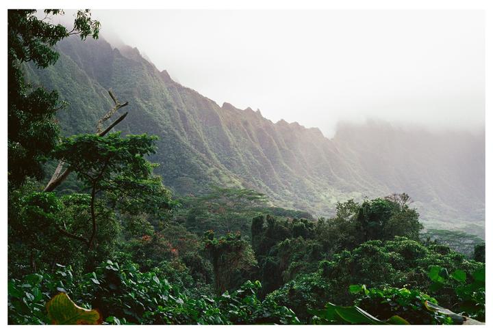 A lush green mountain range is partially obscured by fog and clouds.