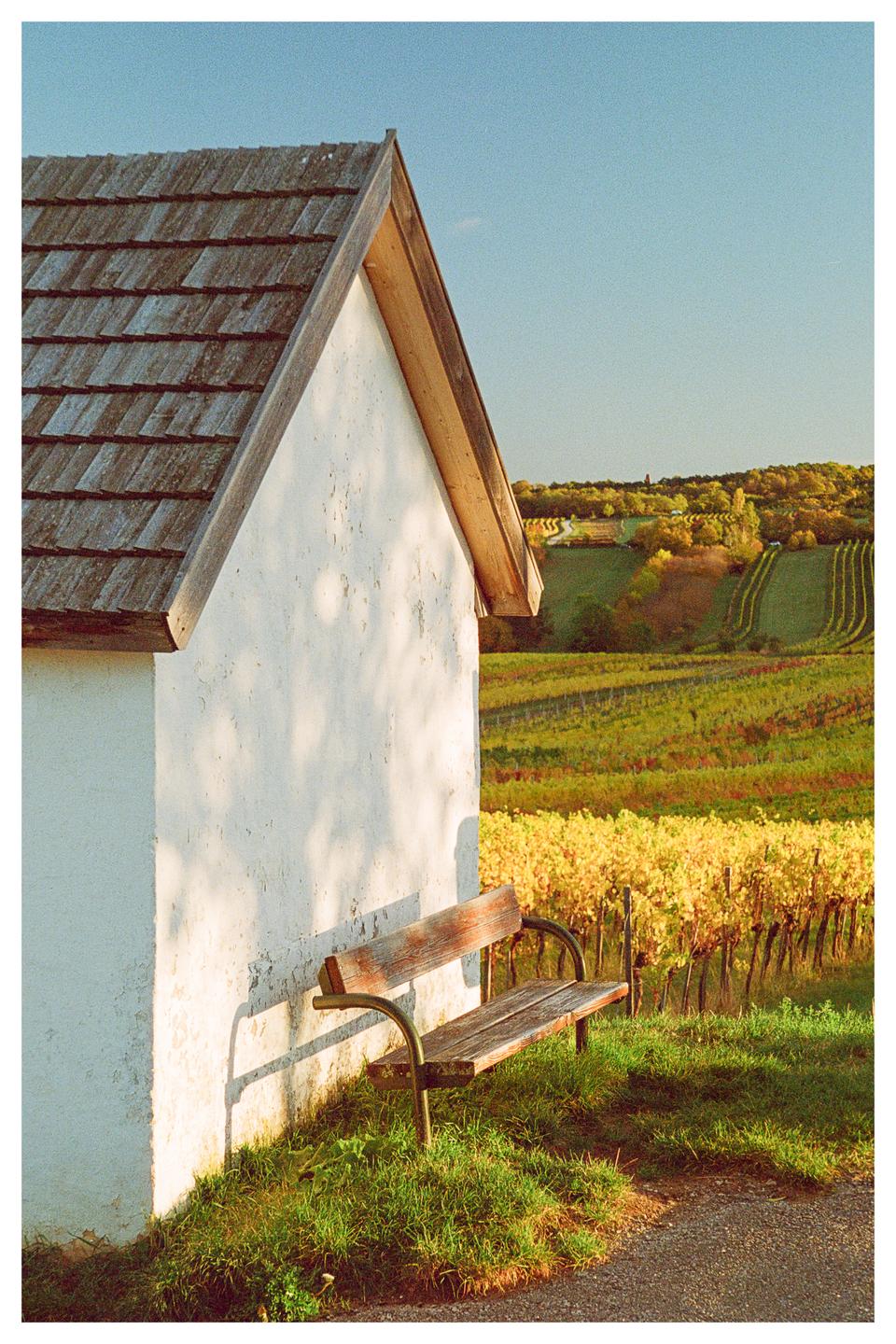 A wooden bench sits beside a white building with a shingled roof, overlooking a vineyard with autumn foliage.