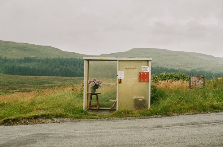 A bus stop with a potted plant on a small table sits by a road with rolling green hills and a forest in the background under an overcast sky.
