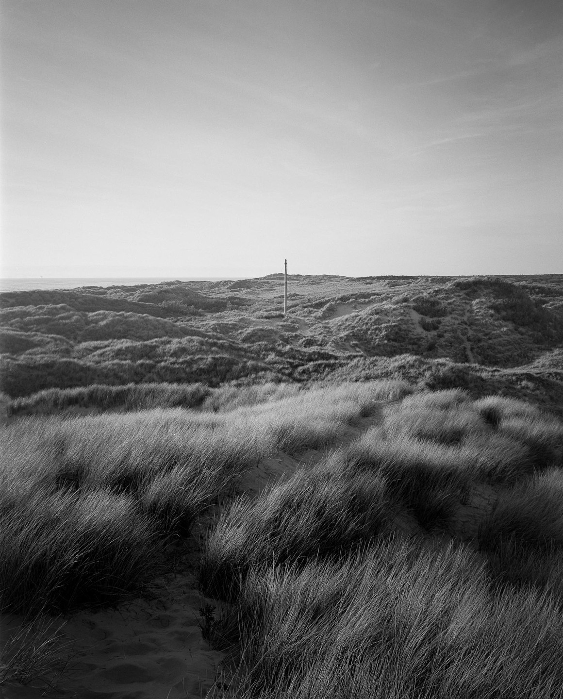 A single pole stands in the distance amidst windswept dunes covered in tall grass.