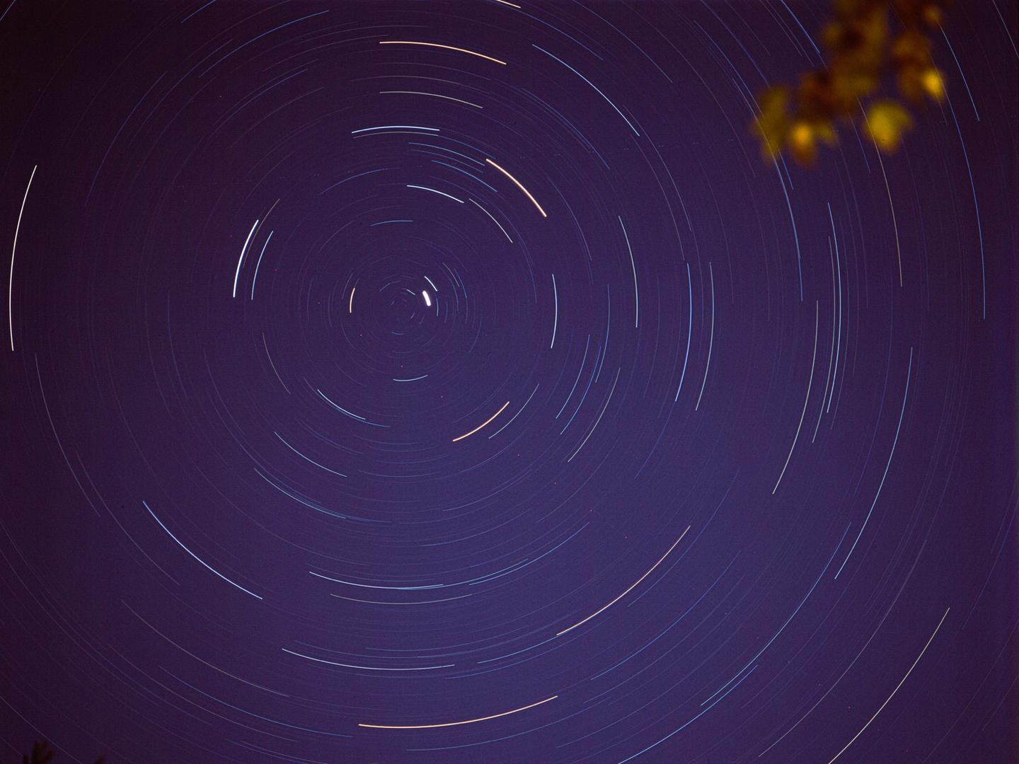 The night sky is filled with circular star trails around a central point, with some foliage visible in the upper right corner.