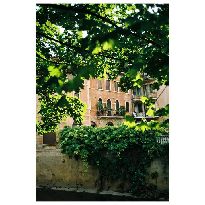 A building with balconies and shuttered windows is seen through a canopy of green leaves.