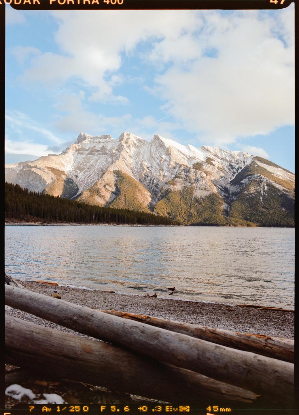 A large lake with a rocky shore and logs in the foreground is surrounded by a forest and snow-capped mountains under a cloudy sky.