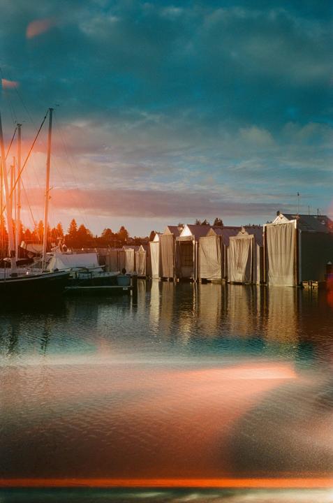Sailboats are docked in a marina with boat houses and trees under a cloudy sky.