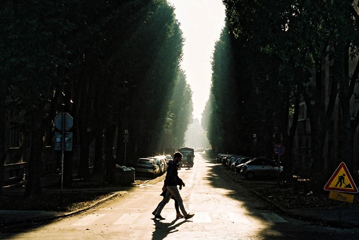 Two people cross a sunlit street lined with tall trees and parked cars.