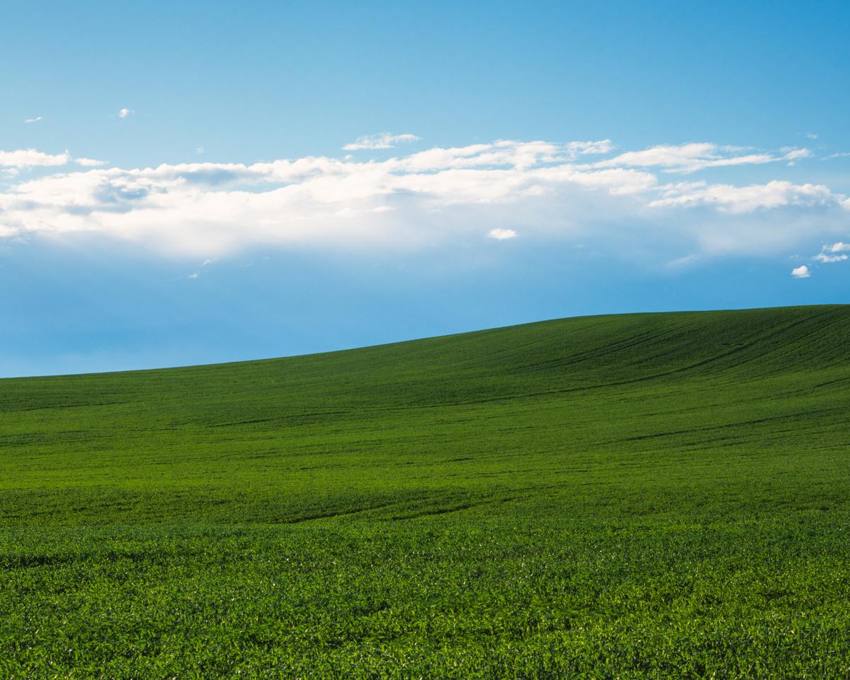 A green hill of grass is under a blue sky with white clouds.