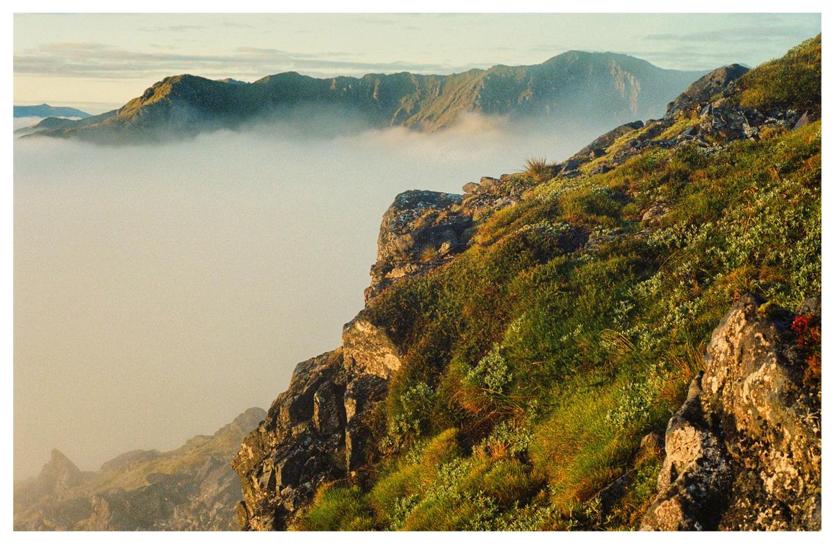A mountain peak covered in green foliage and rocks rises above a layer of fog, with other mountain ranges visible in the distance.