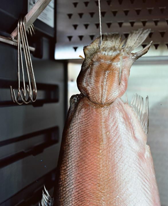 A fish is hanging by its tail from a metal hook inside a smoker.