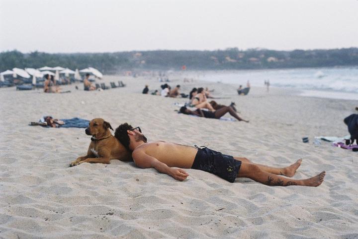 A man and a dog are relaxing on a sandy beach with other people and the ocean in the background.