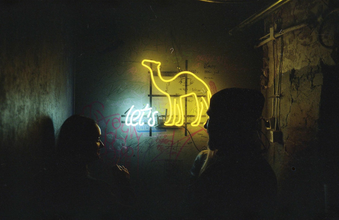 Two people are silhouetted against a wall with neon signs that say "let's" and show a camel.
