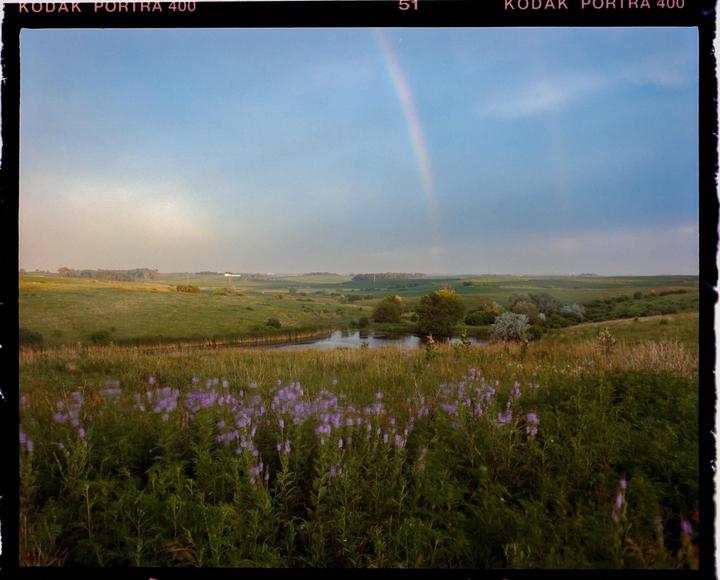 A rainbow arches over a green landscape with a small pond and purple wildflowers in the foreground.