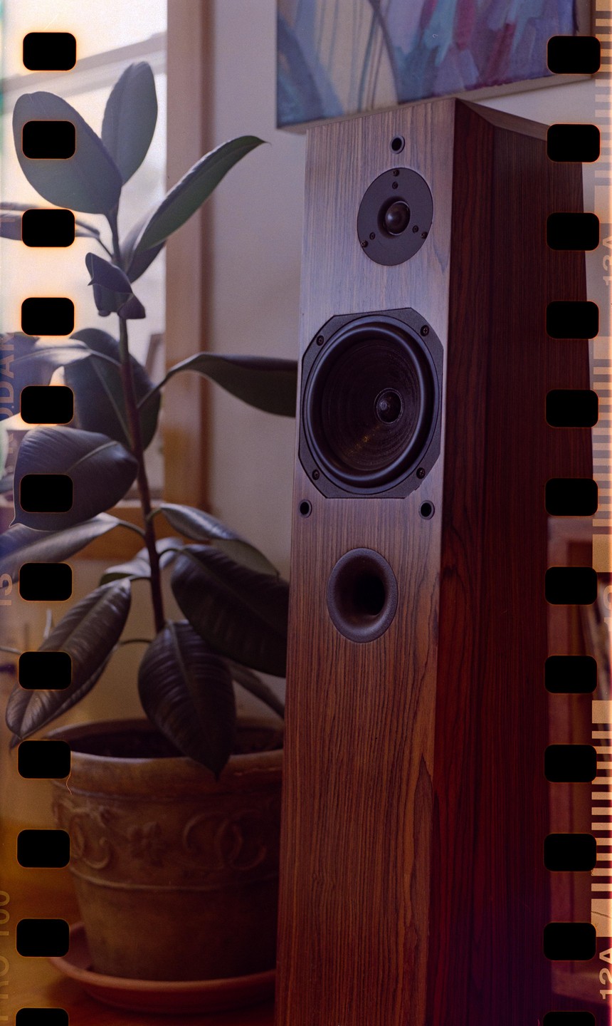 A tall wooden speaker stands next to a potted plant with large leaves.