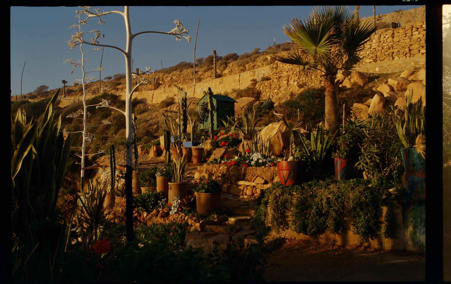 A terraced garden with potted plants and a small green shed is built into a rocky hillside.