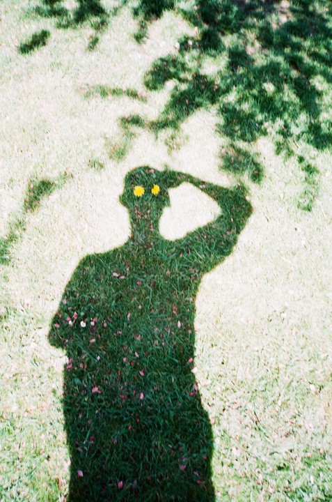A shadow of a man with two yellow flowers for eyes is cast on a grassy lawn.